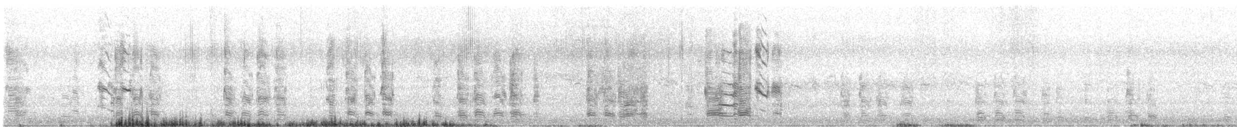 Гуска сіра (підвид anser) - ML644314798