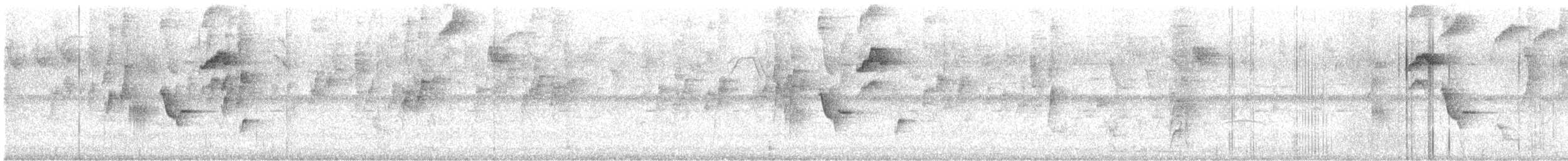 Дрізд-короткодзьоб південний - ML644314872