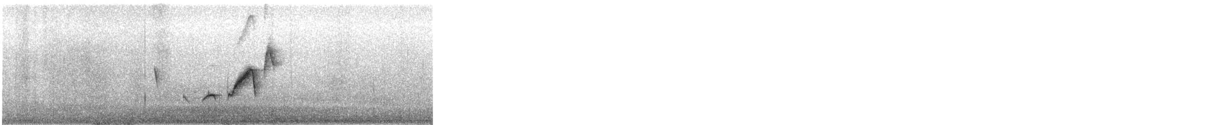 østbørstefugl - ML644315029