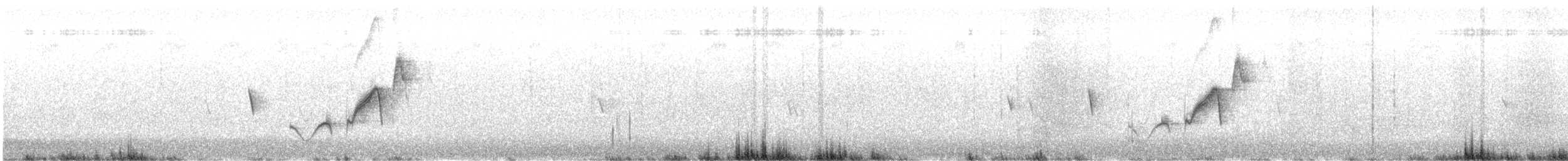 østbørstefugl - ML644315030