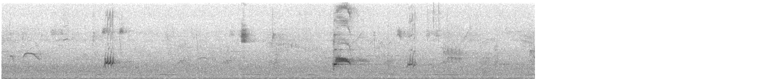 Tyran de Wied - ML644315713