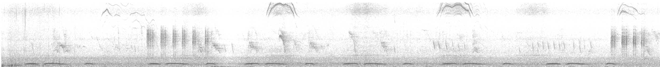 Sardinian Warbler - ML644316777