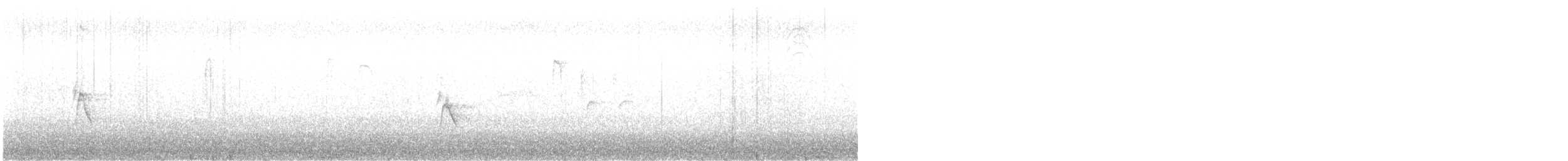 House Sparrow - ML644317352