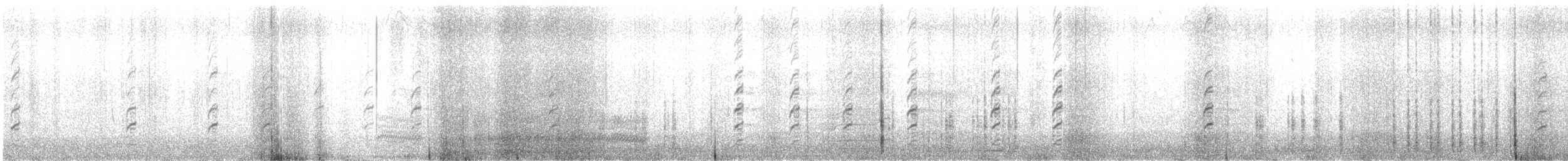 Black-winged Stilt - ML644317447