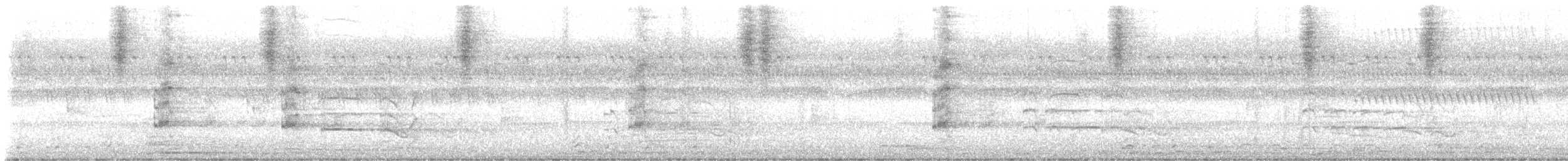 čejka černoprsá - ML644318287