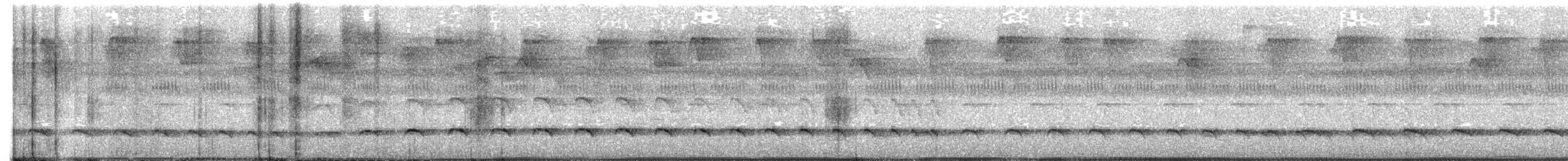Streak-crowned Antvireo - ML644318960