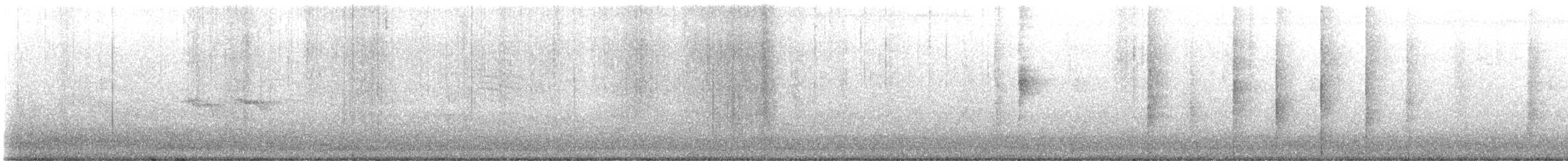 Northern Waterthrush - ML644319023