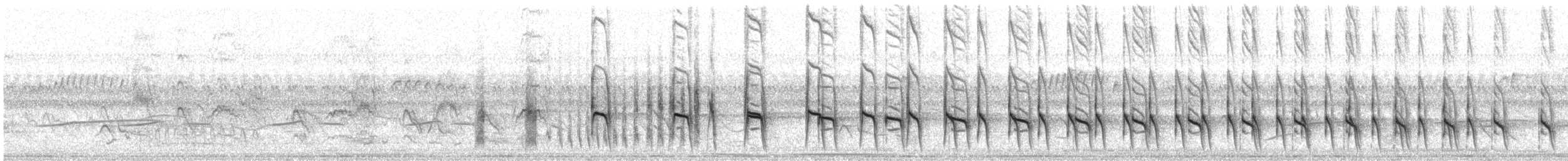 Greater Thornbird - ML644319311