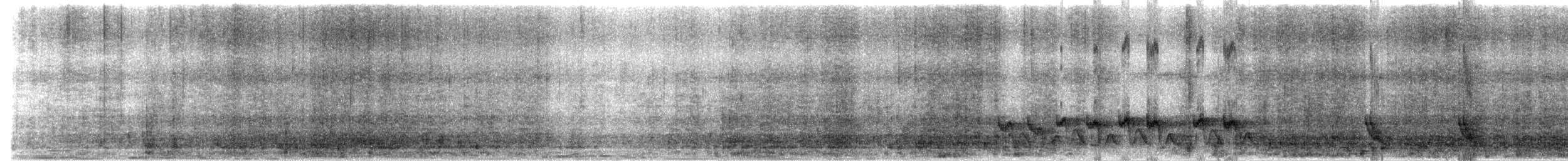 Swallow-tailed Manakin - ML644319505