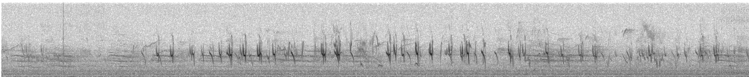 Piquituerto Común (tipo 1) - ML644319658