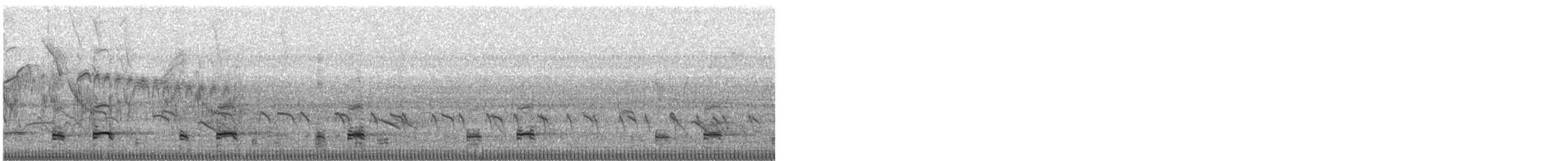 Buff-necked Ibis - ML644319724