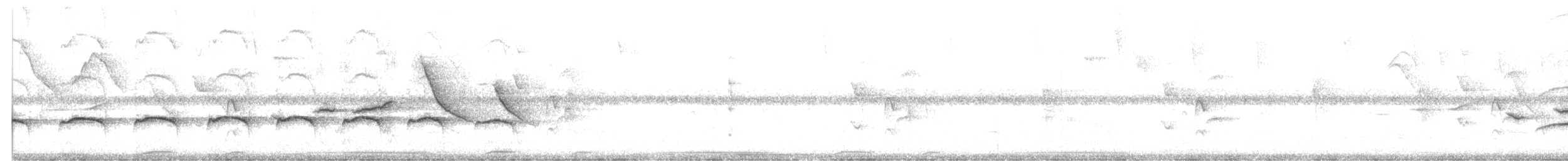 Tufted Antshrike - ML644319947