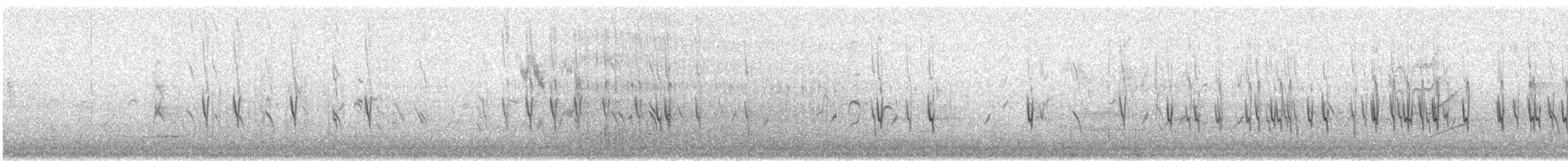 Piquituerto Común (tipo 1) - ML644319980