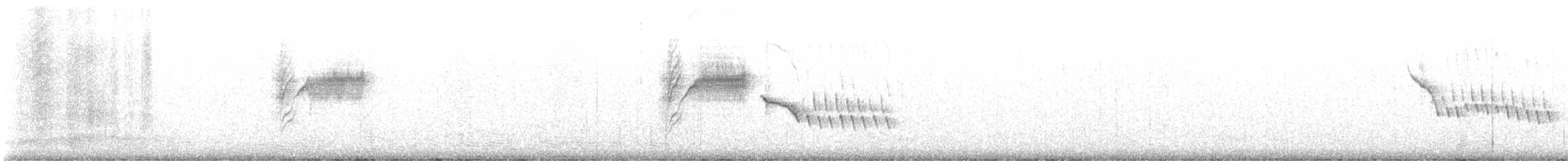 Bewick's Wren - ML644320172