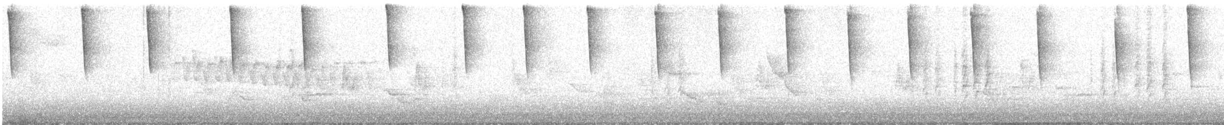 Pine Siskin - ML644320411