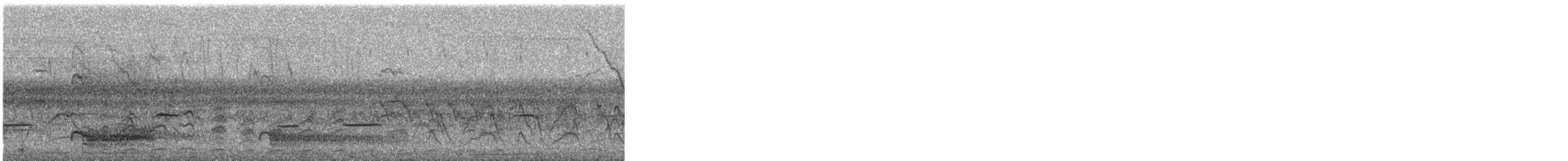 brasiland - ML644320719