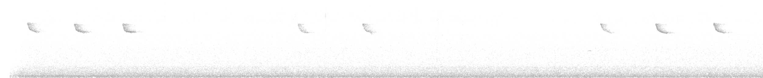 Хөвчийн бялзуумар - ML644320727