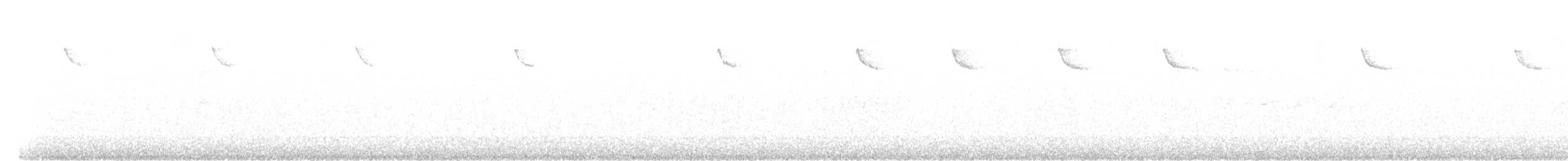 Хөвчийн бялзуумар - ML644320748