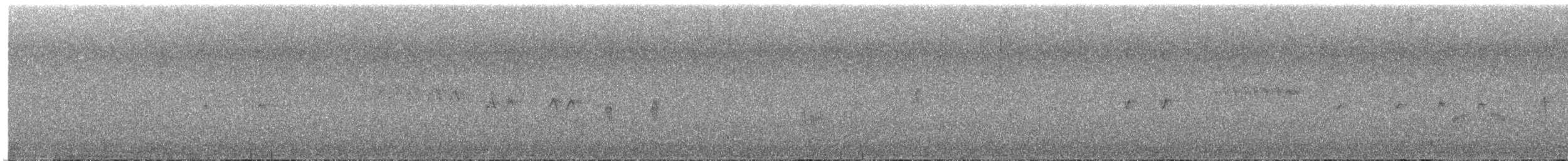 American Dipper - ML644321255