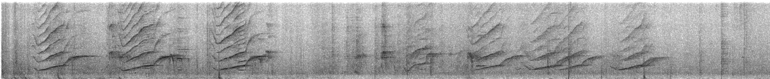 Großschwanzgrackel - ML644321551