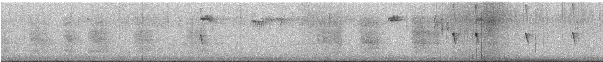 Black Phoebe - ML644321697