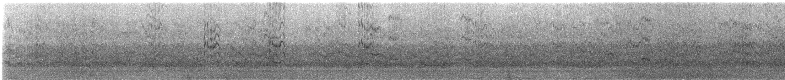 Sterne élégante - ML644321939