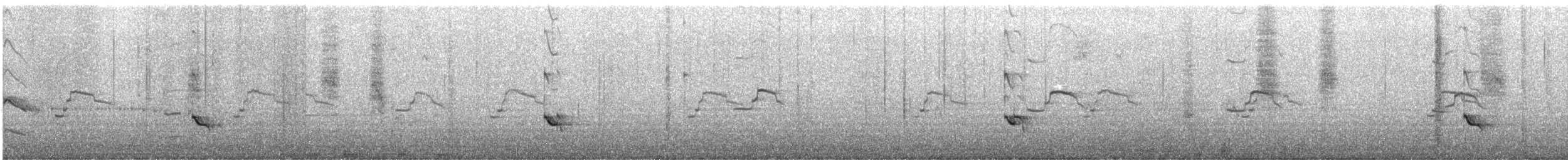 Totano zampegialle minore - ML644322143