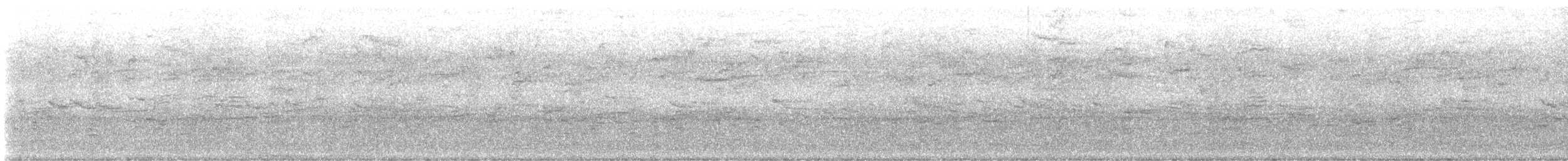 Quiscale bronzé - ML644322546