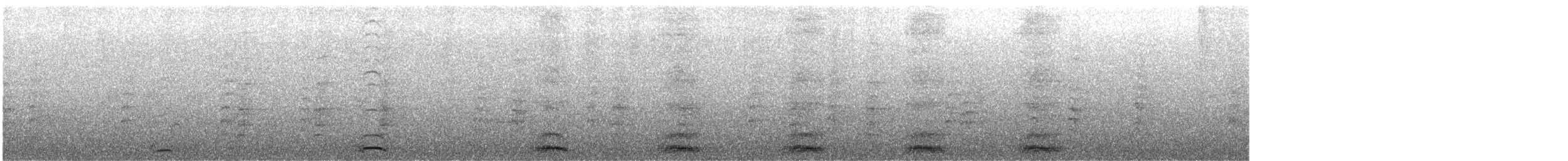 Schalow's Turaco - ML644322634