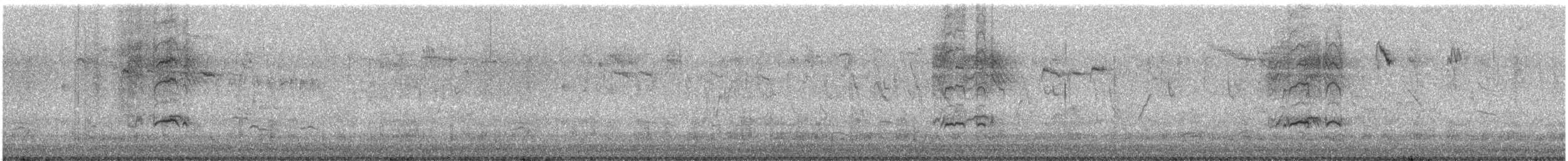 Marbled Duck - ML644323249