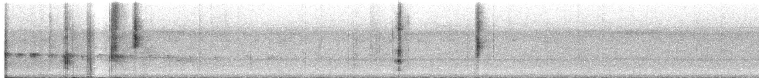 Piping Long-tailed Woodcreeper - ML644323532