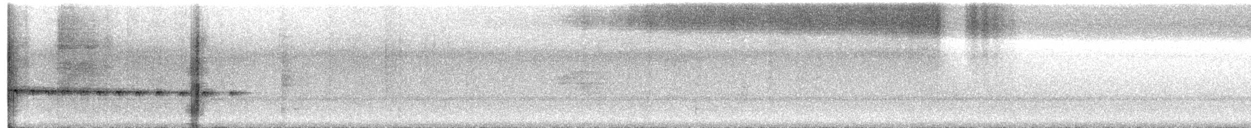 Piping Long-tailed Woodcreeper - ML644323535