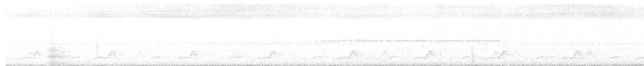 Eastern Whip-poor-will - ML644323554