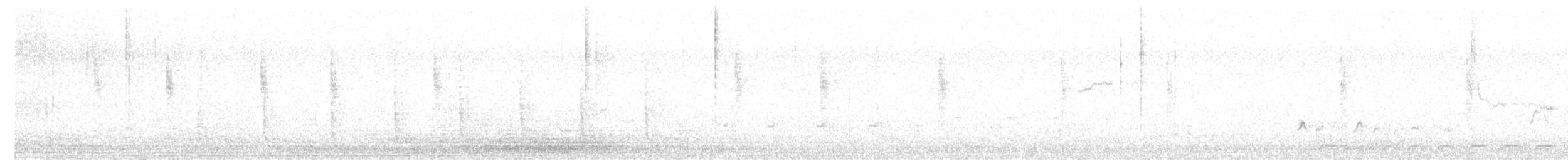 Northern Mockingbird - ML644323562