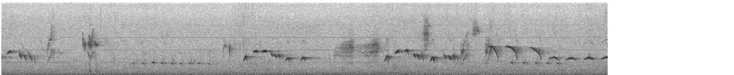 White-browed Scrub-Robin - ML644323580