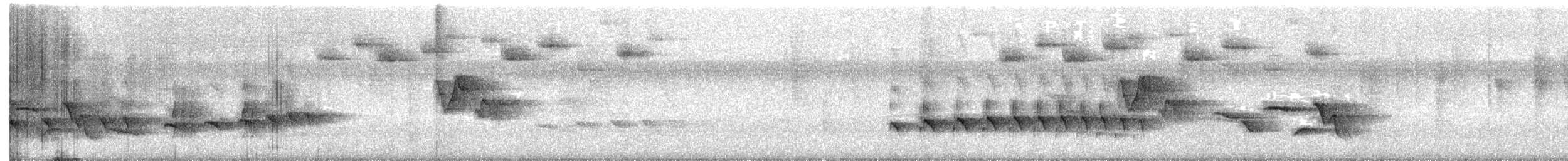 クリムネマユミソサザイ - ML644323622