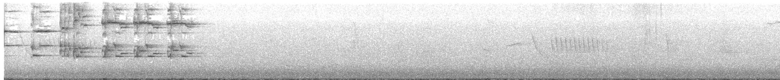 Blacksmith Thrush - ML644324770