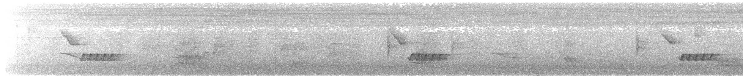 hvitbrystskogsmett - ML644325259