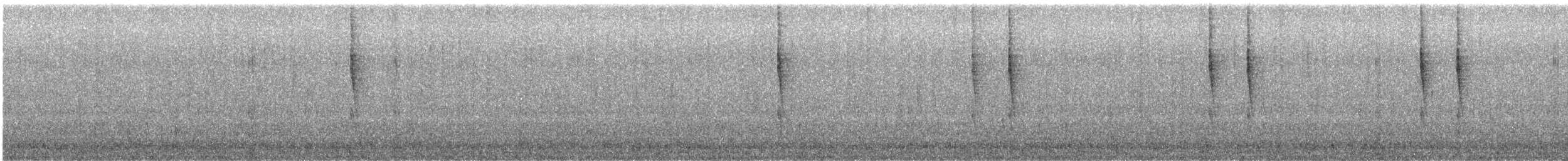 Pacific Wren - ML644325478