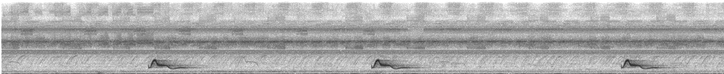 Common Pauraque - ML644325858