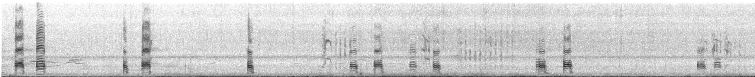 Buff-necked Ibis - ML644325931