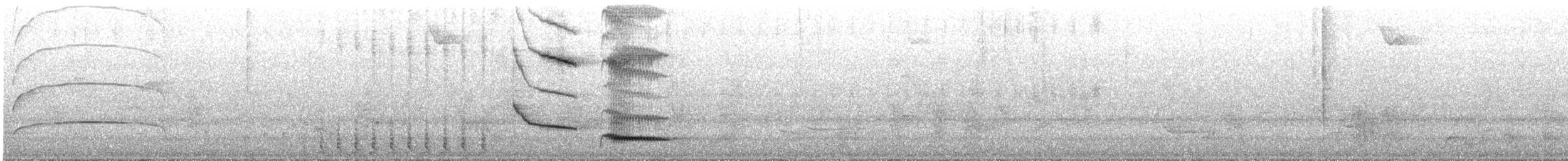 Solitary Black Cacique - ML644325983