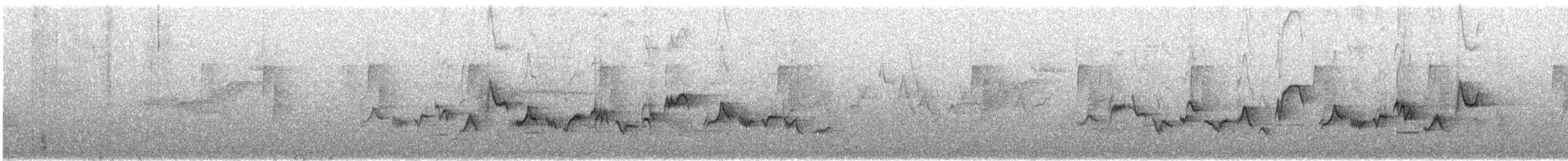 Eastern Warbling Vireo - ML644325987