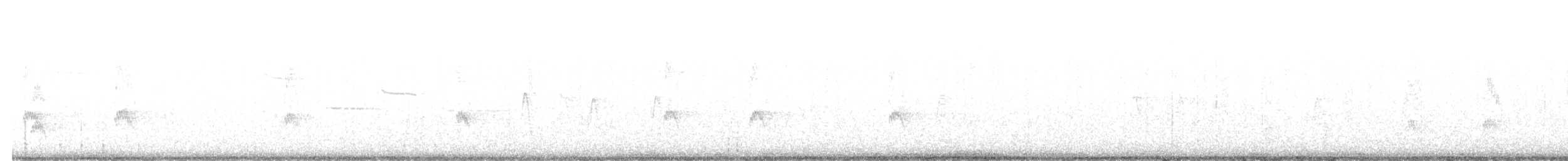 Red-cockaded Woodpecker - ML644326456