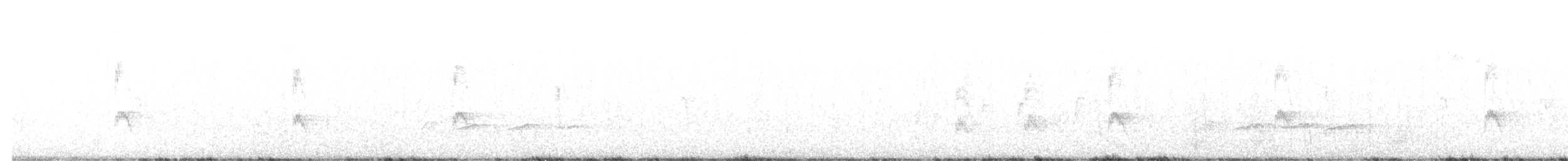 Red-cockaded Woodpecker - ML644326457