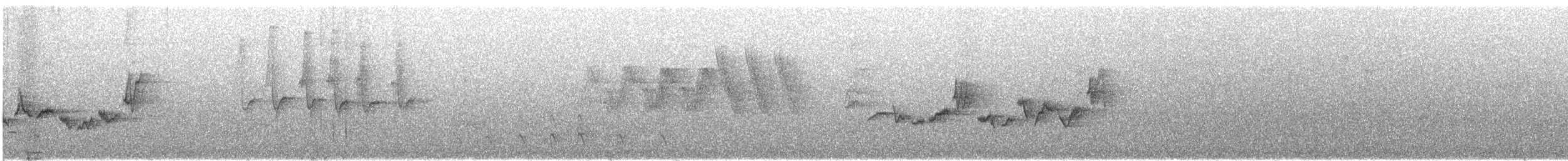 Eastern Warbling Vireo - ML644326481