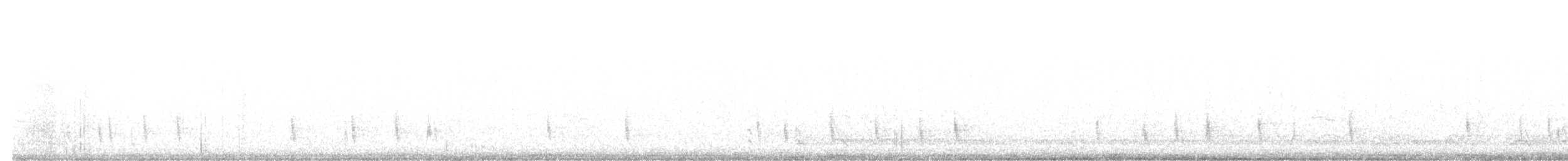 Hermit Thrush - ML644326483