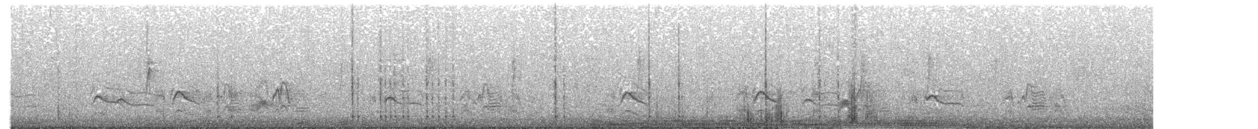 Cassin's Kingbird - ML644326871