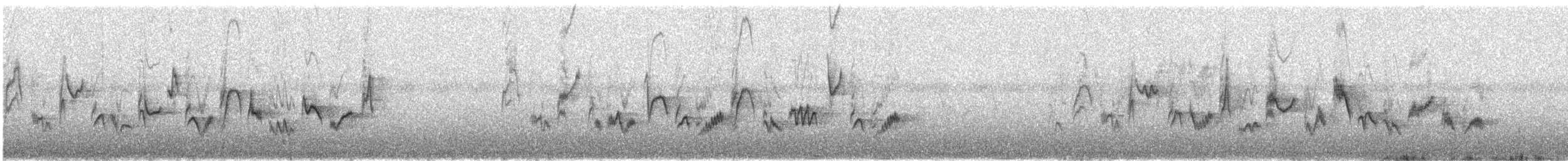 Western Warbling Vireo - ML644326934