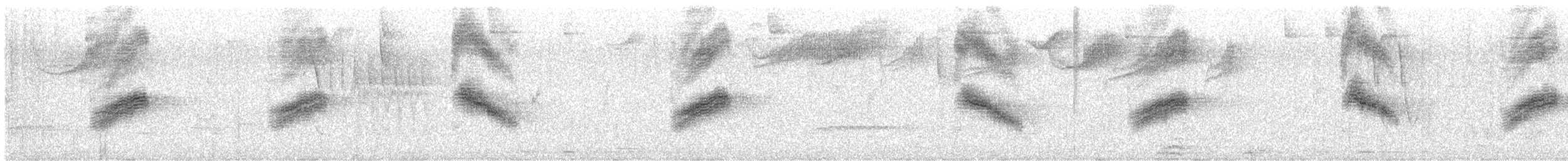 Spotted Towhee - ML644327491